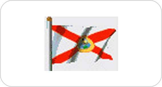 Red cross flag with emblem