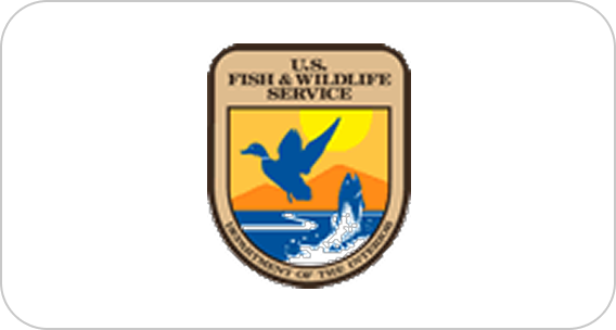 Official emblem featuring nature elements