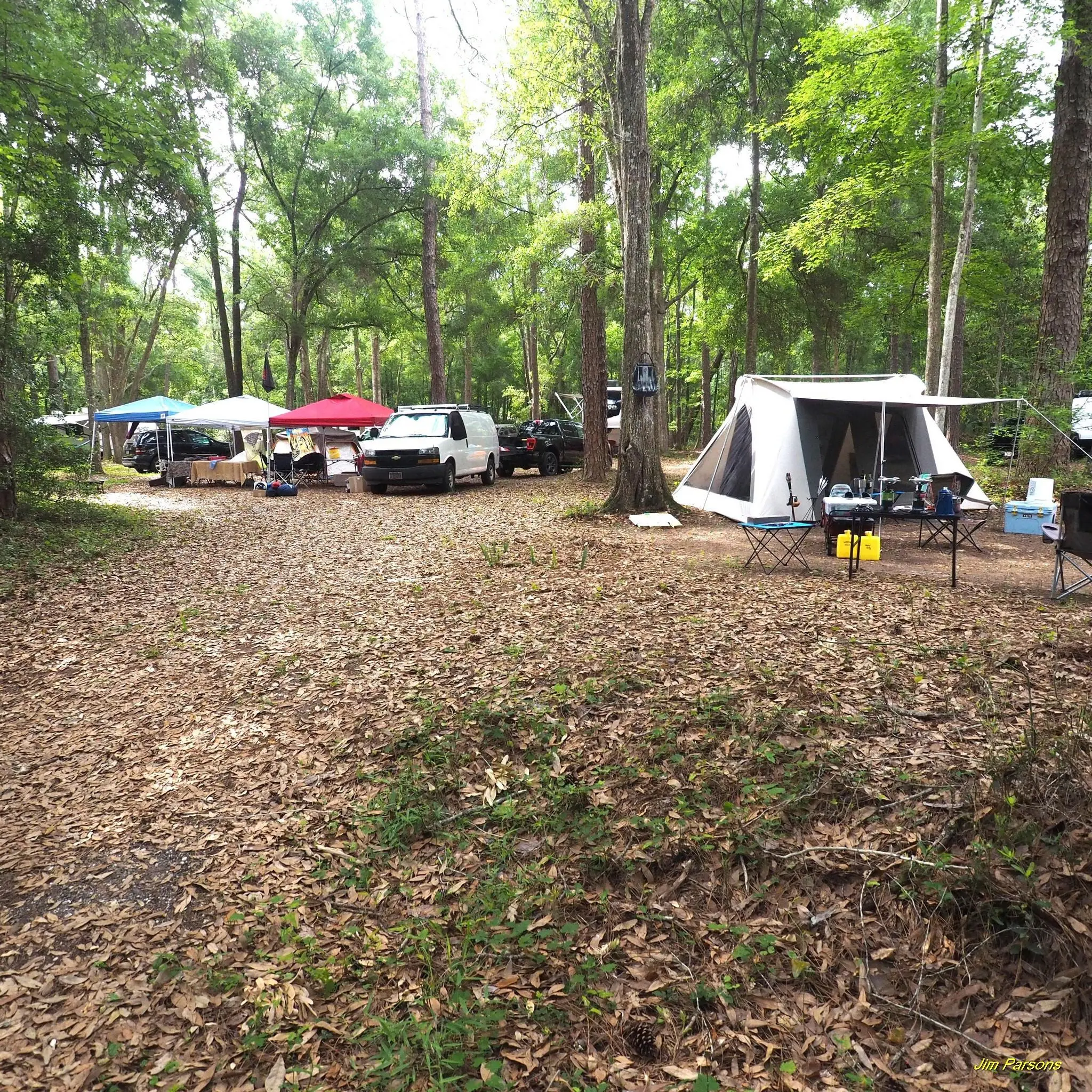 Outdoor camping setup among trees