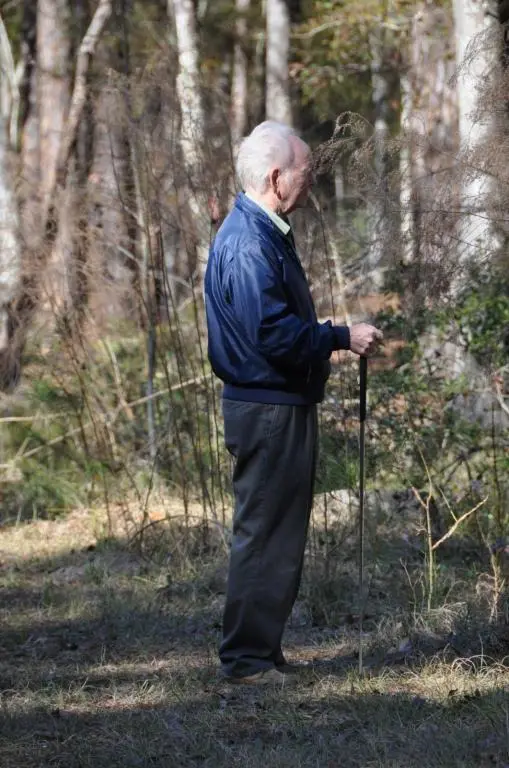 Elderly man walking in forest