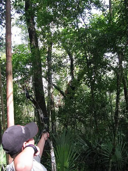 Archer aiming in dense forest