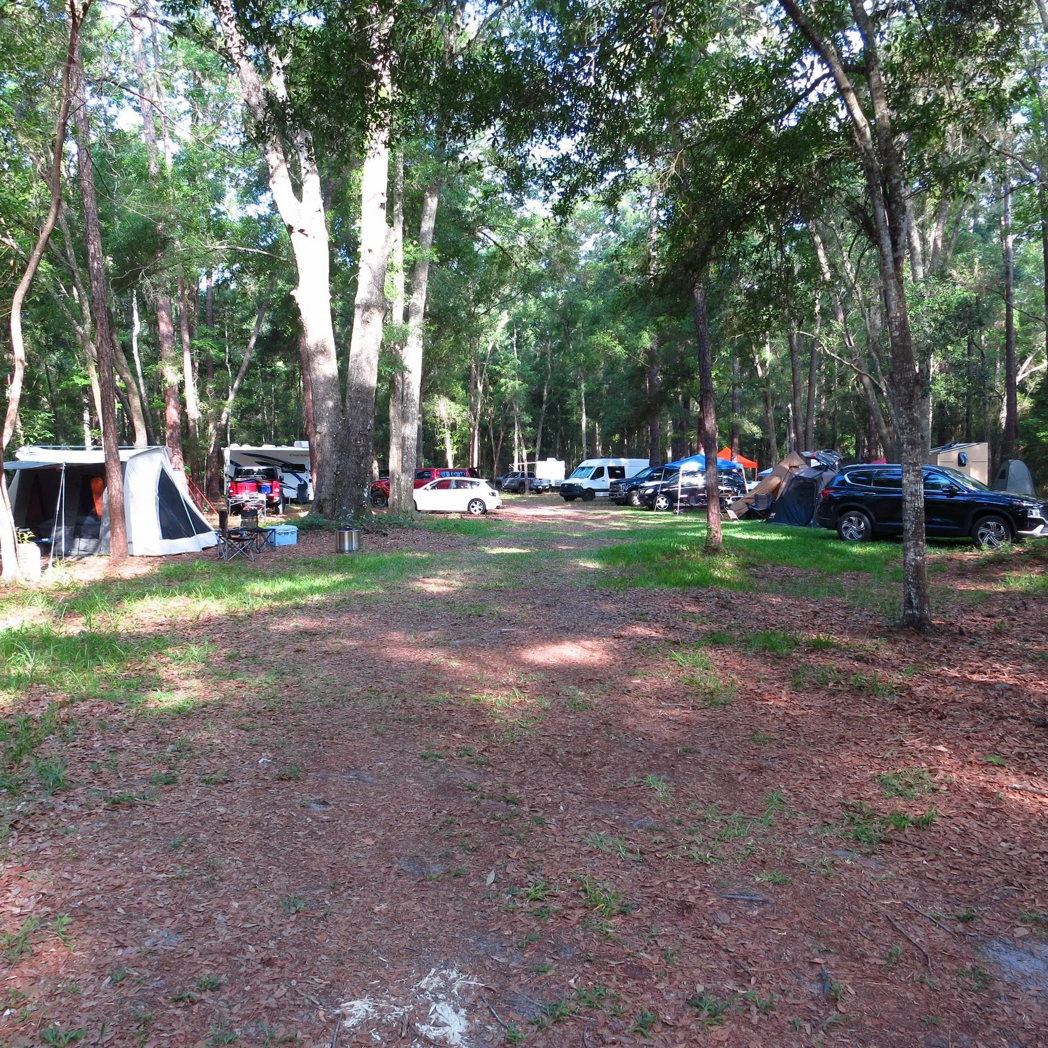 Outdoor camping scene in a wooded area