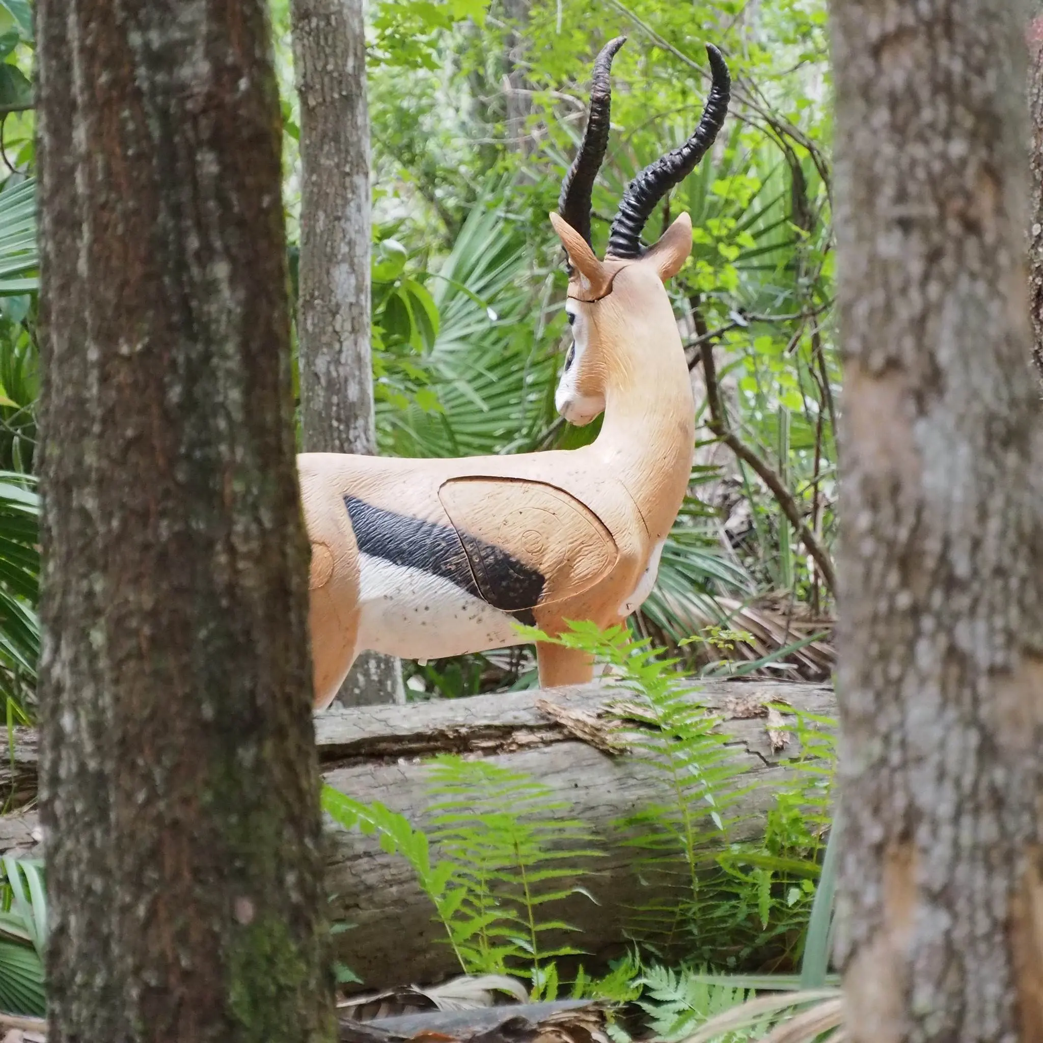 Deer target in dense forest setting