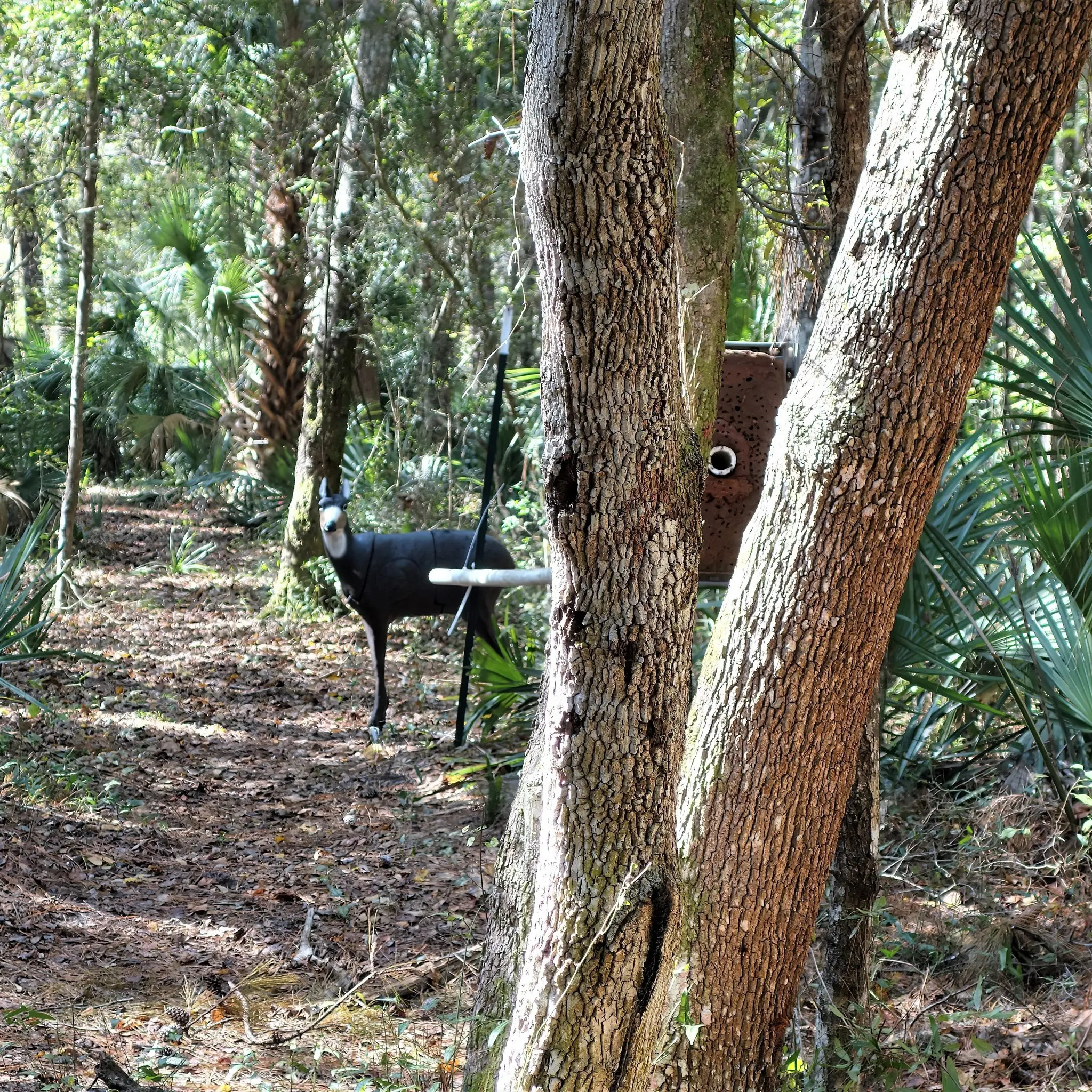 Black deer standing in a forest clearing with trees around.