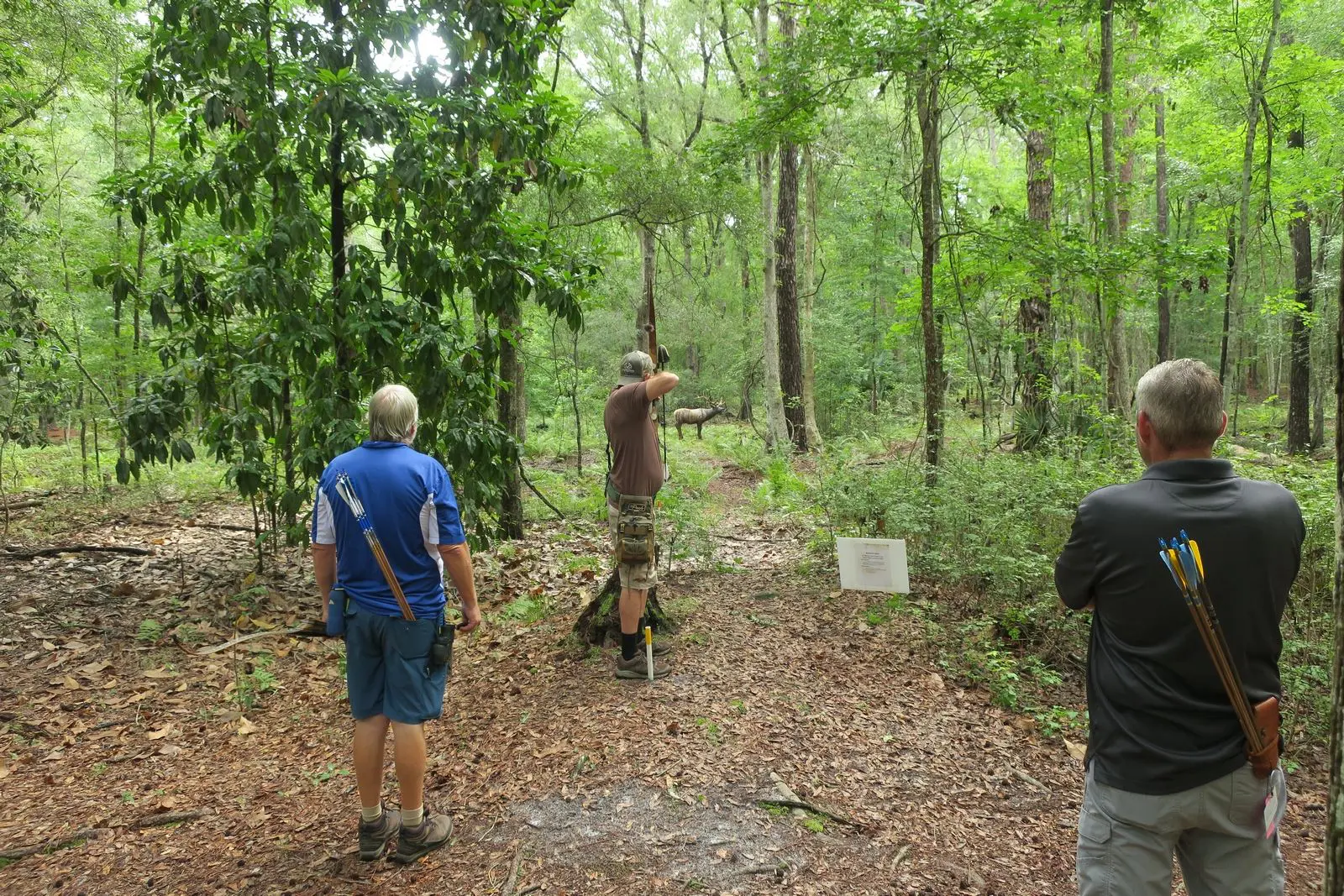 People observing a wooden sculpture in a forest.